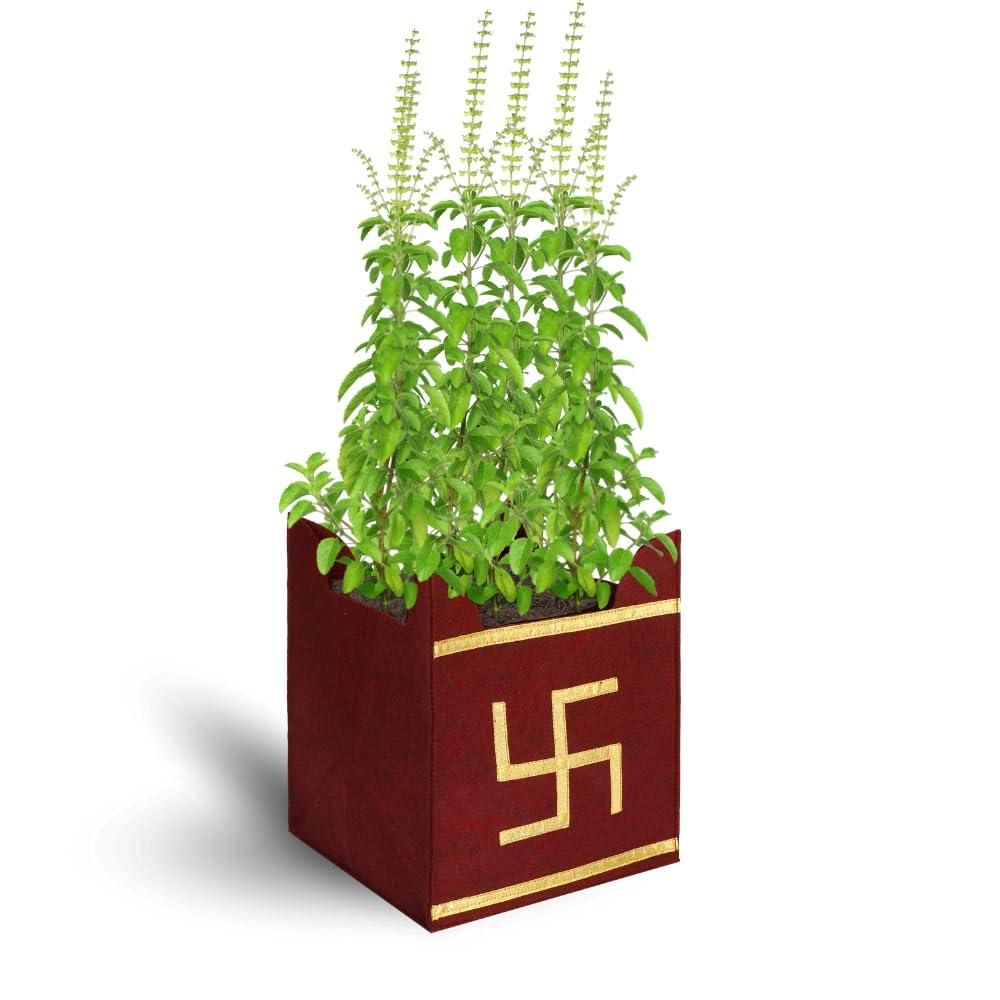 Tulsi Plant Grow Bag for Home/Gardening