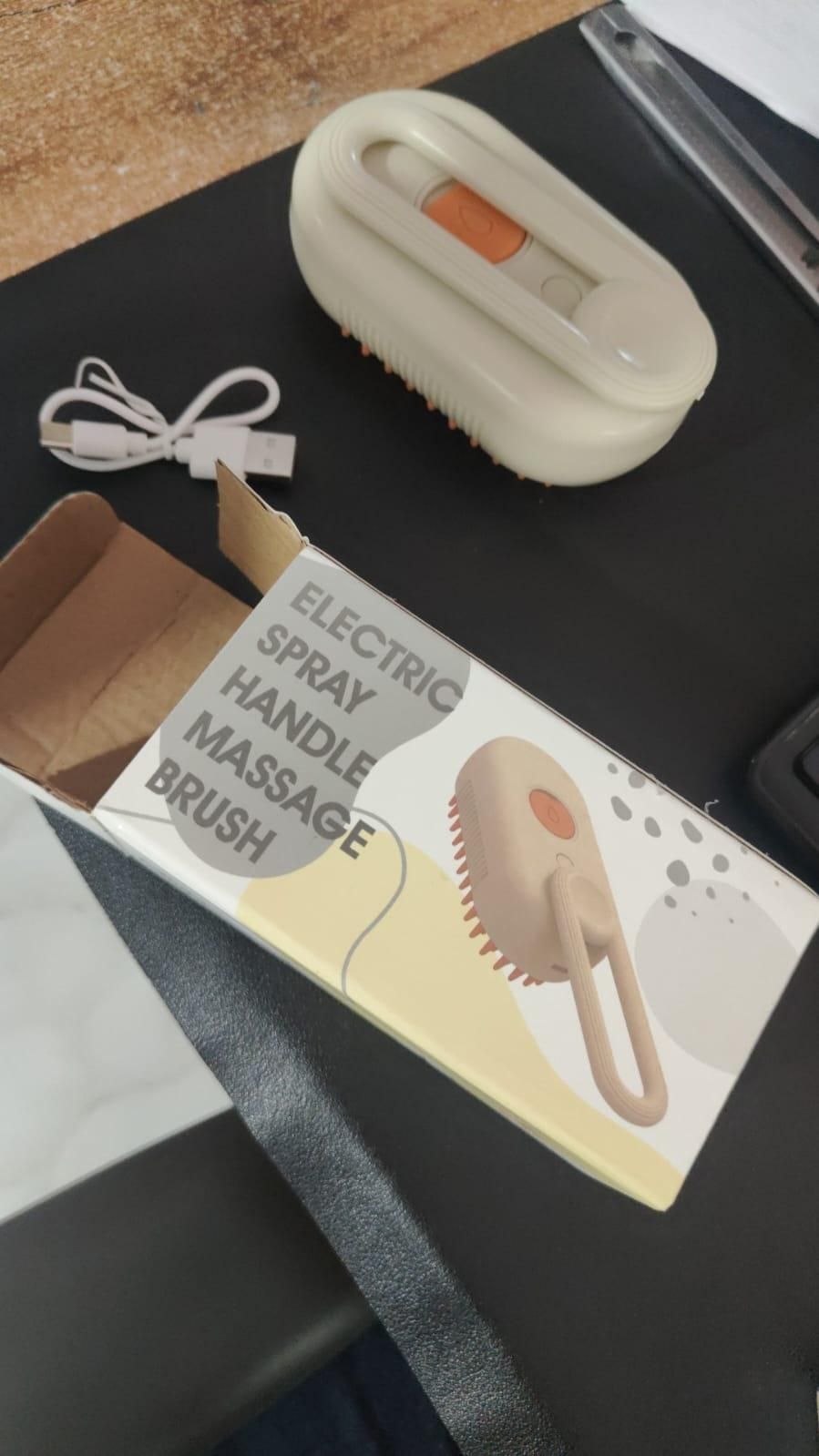 Steaming Pet Hair Brush