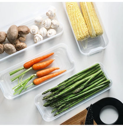 2 Layer Interlocking Fridge Container