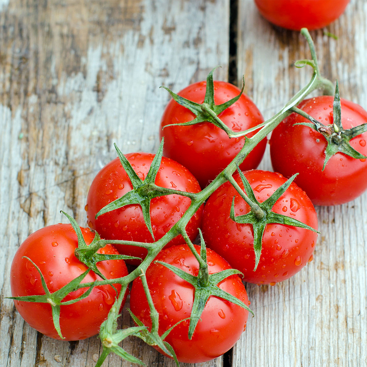 Dwarf Tomatoes Seeds | 🍅 Flat 50% Saving🍅