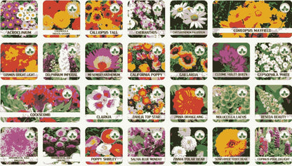 100 Varieties of Flower Seeds (Pack of 100) |🔥FLAT 50% OFF SALE🔥